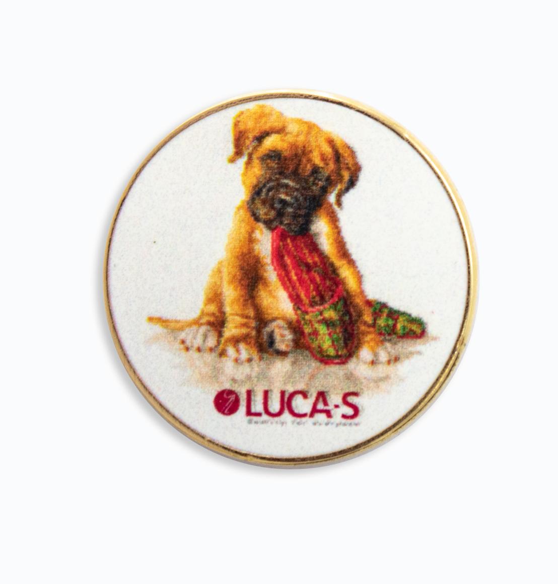 Magnet pentru ace Luca-S, NM17