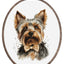 Set de brodat în cruciuliță cu cercul de brodat inclus  - The Yorkshire Terrier, BC228