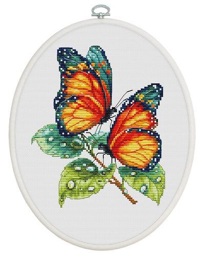 Set de brodat în cruciuliță cu cercul de brodat inclus Luca-S - Întâlnire După Ploaie, BC239