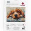 Set de brodat în cruciuliță Luca-S - Cocker Spaniel, BU5058