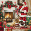 Set de brodat în cruciuliță Luca-S GOLD - Santa Interior, BU5100