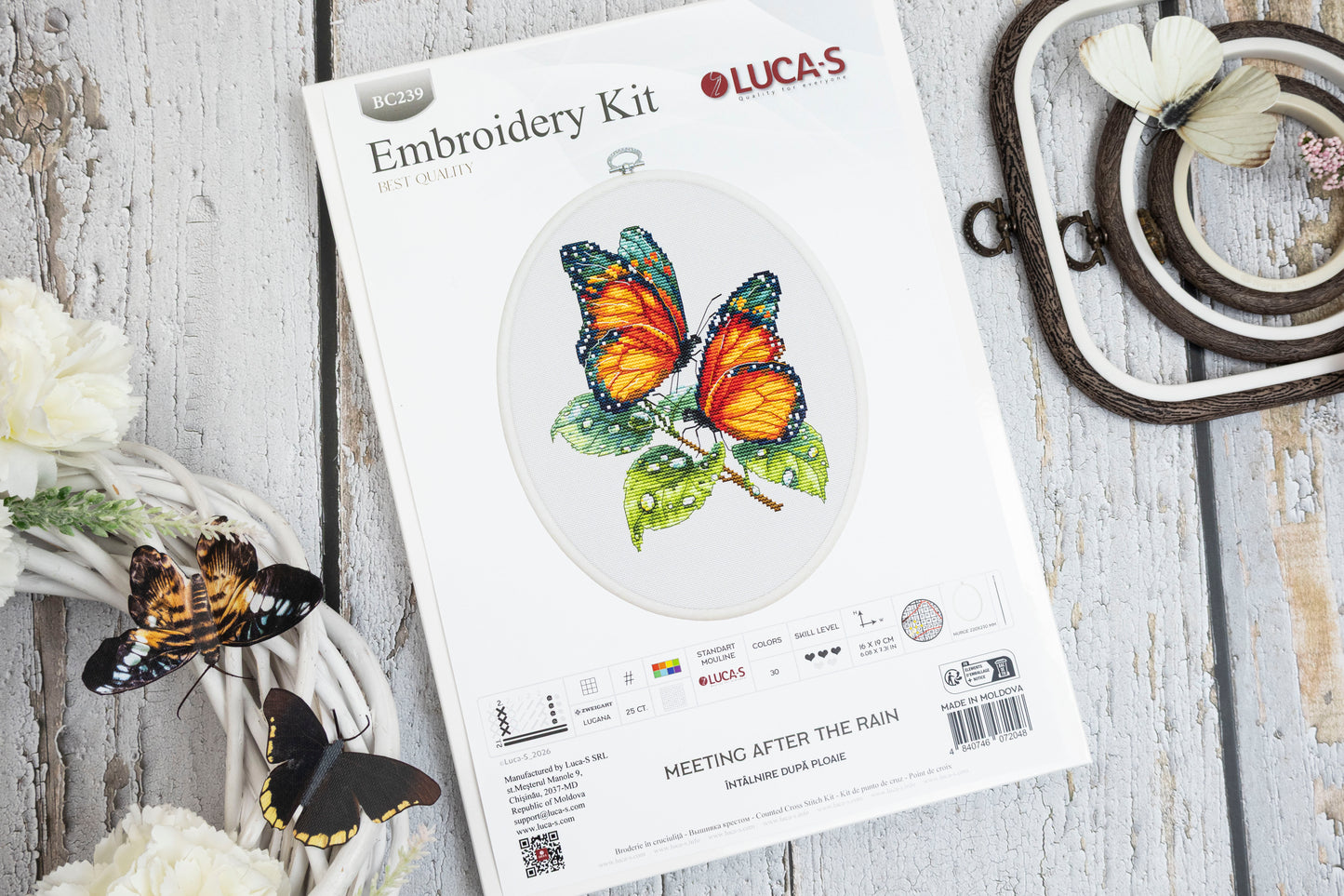 Set de brodat în cruciuliță cu cercul de brodat inclus Luca-S - Întâlnire După Ploaie, BC239