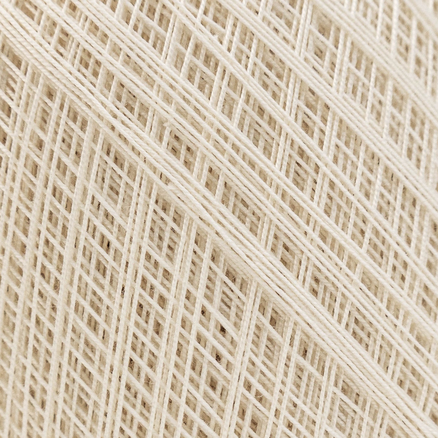 Oliva
