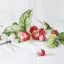 Cross Stitch Kit Luca-S - Etude with Strawberries - HobbyJobby
