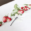 Cross Stitch Kit Luca-S - Etude with Strawberries - HobbyJobby