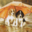 Set de Brodat Goblen Luca-S- Sub umbrelă, G550