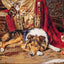 Set de brodat în cruciuliță Luca-S - B585 Prieten indispus