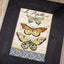 Cross Stitch Kit LetiStitch - Vintage Wings-Le Papillons - HobbyJobby