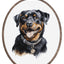 Set de brodat în cruciuliță cu cercul de brodat inclus - Rottweiler, BC229